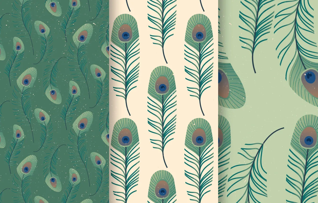 Фото обои фон, текстура, pattern, Peacock, collection, feather