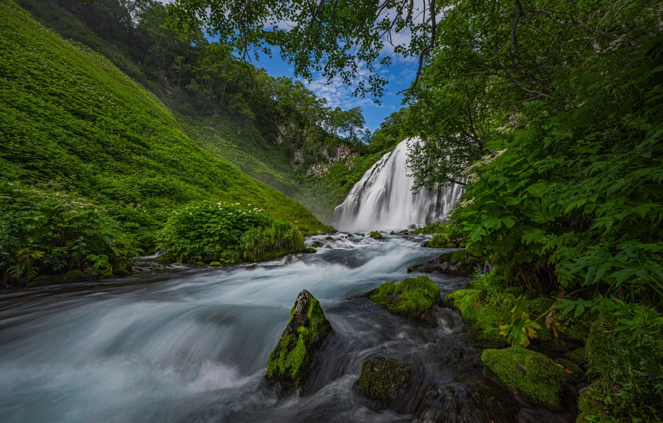 Фото обои лес, река, водопад, склон, Россия, Камчатка, Александр Мухин, Водопад Ольга