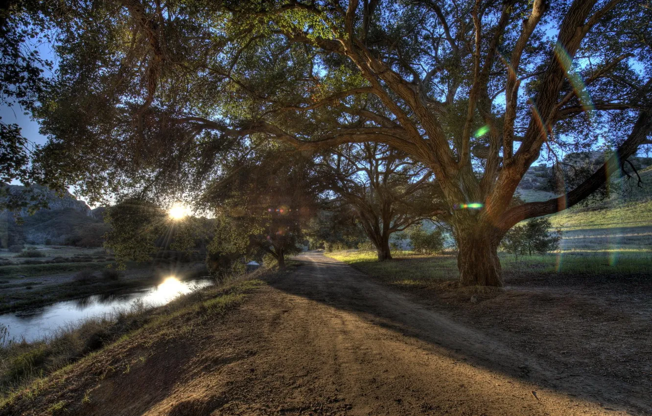 Фото обои дорога, лучи, свет, деревья, пейзаж, природа, HDR, Калифорния
