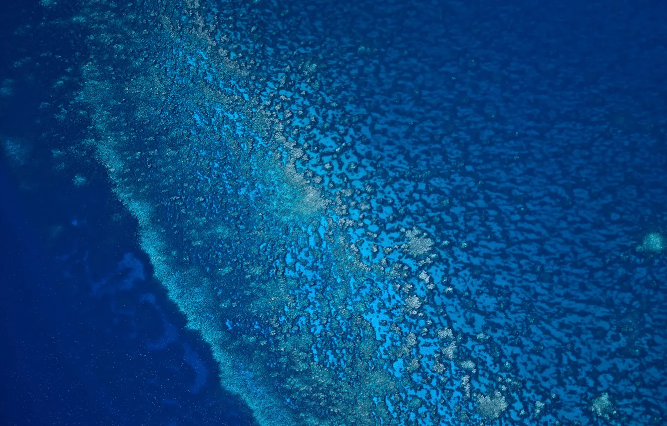 Фото обои sea, blue, fine, coral