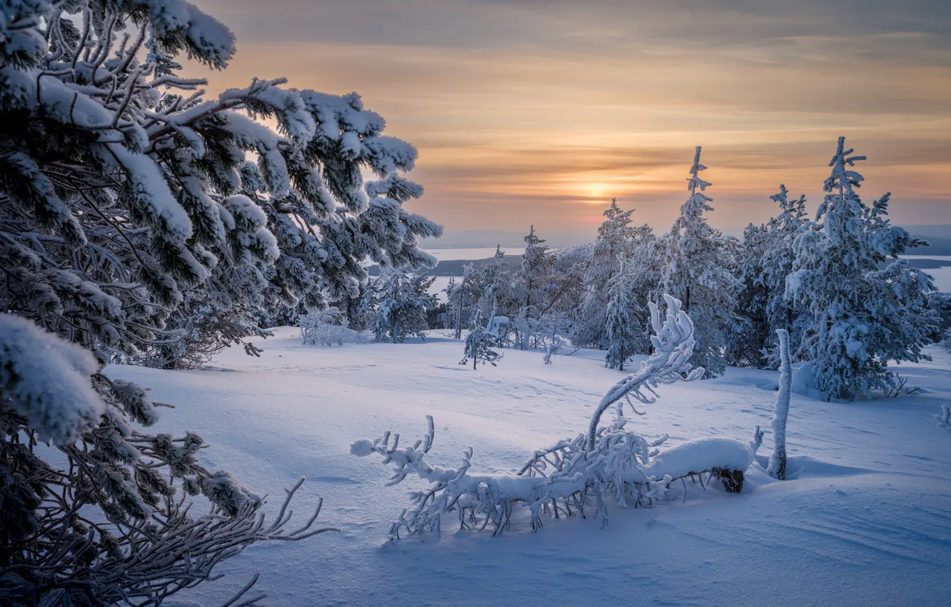 Фото обои зима, снег, деревья, сугробы, Россия, Мурманская область, Волосяная сопка, Геннадий Корж