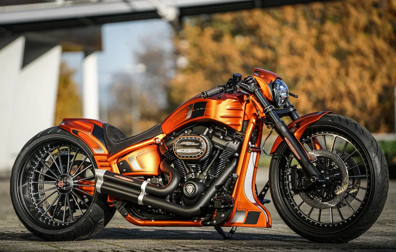 Фото обои Harley-Davidson, Custom, Thunderbike, FXBRS, Gp-Style