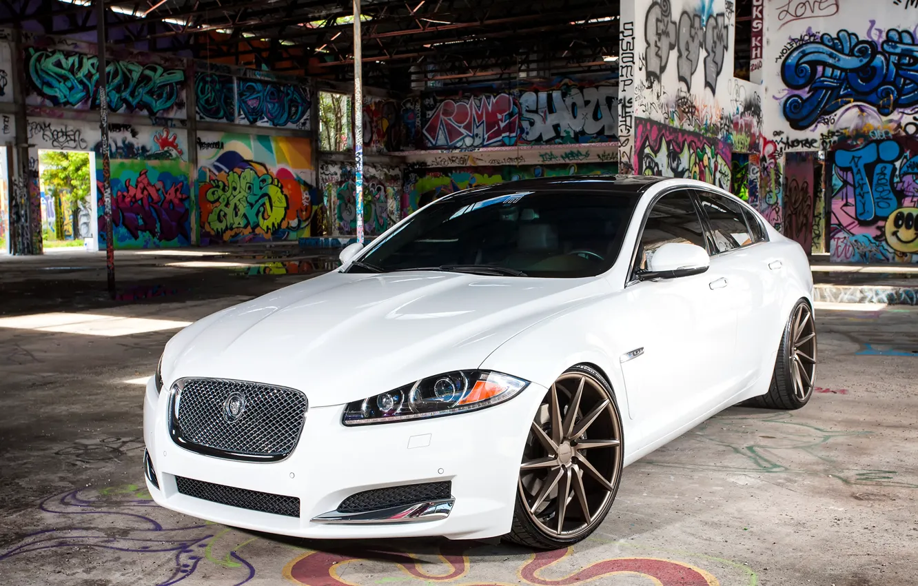 Фото обои Jaguar, White, Graffity