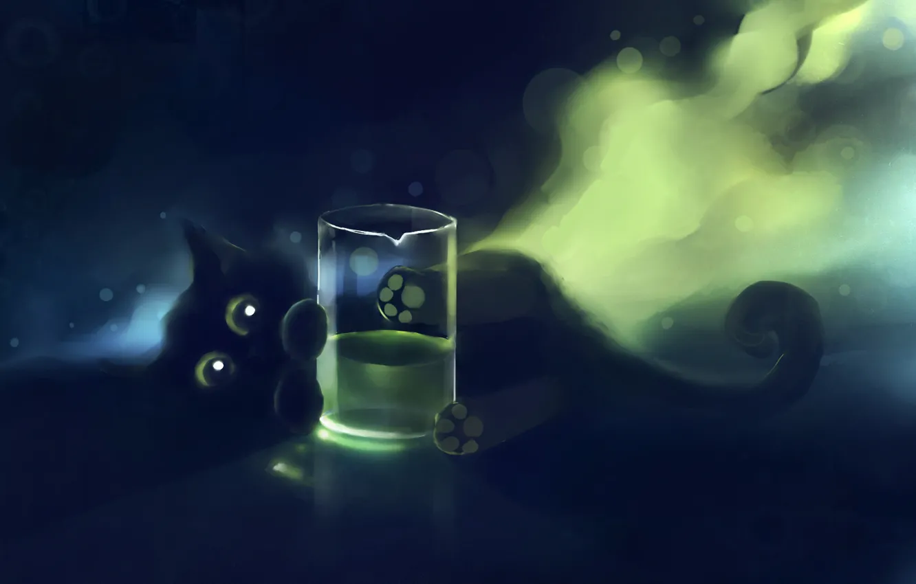 Фото обои кот, стакан, котенок, apofiss