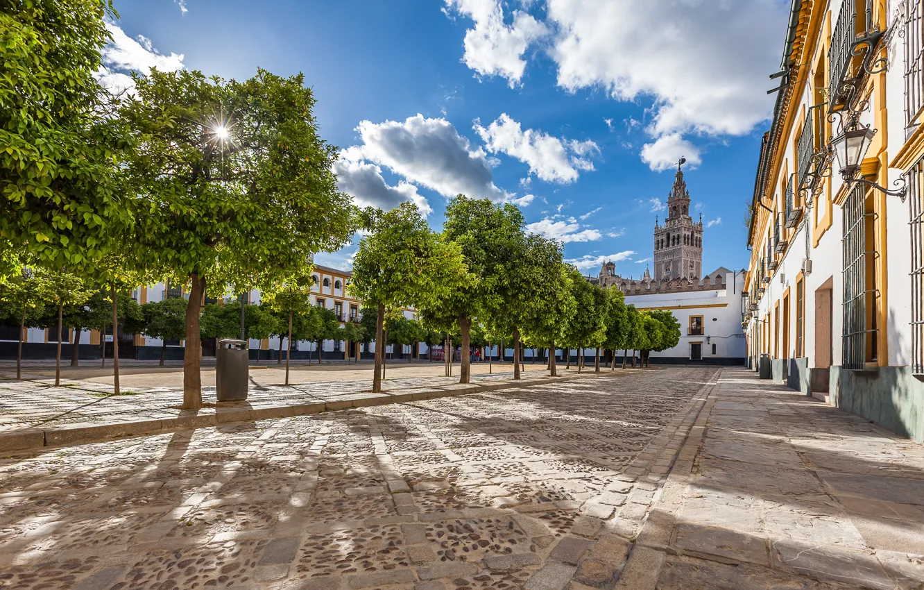Фото обои деревья, здания, площадь, двор, Испания, Spain, Севилья, Андалусия