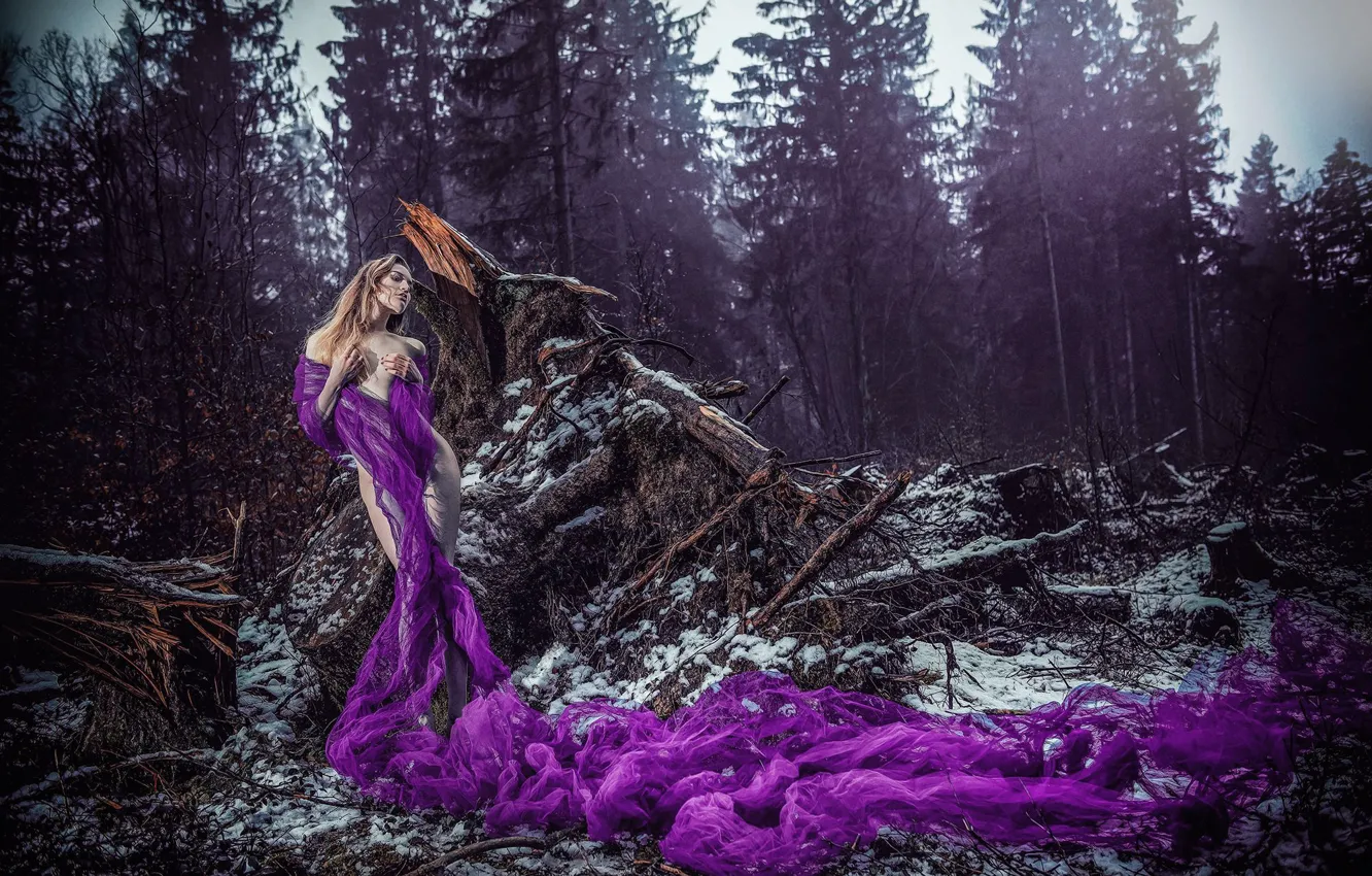 Фото обои лес, девушка, поза, ситуация, фигура, шаль, коряги, ULTRAVIOLET