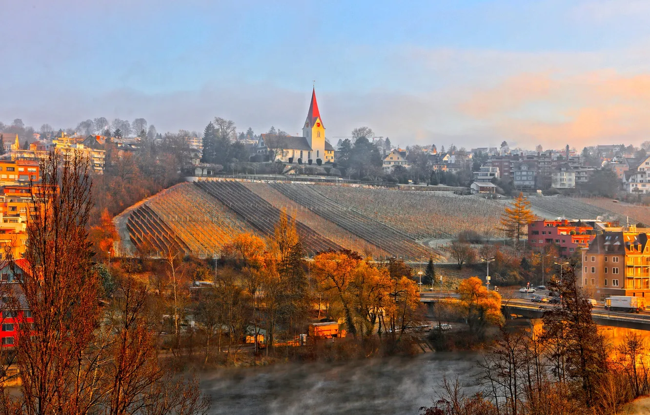 Фото обои осень, мост, город, река, дома, Швейцария, склон, виноградник