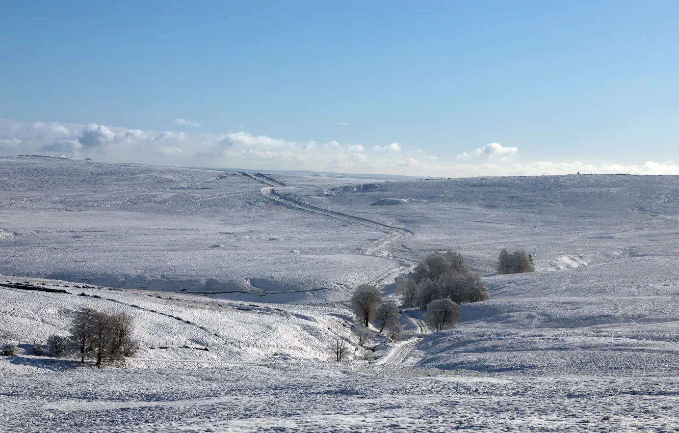 Фото обои зима, дорога, поле