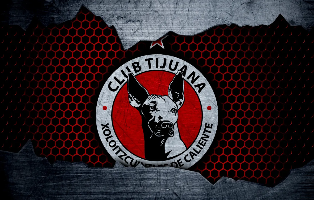 Фото обои wallpaper, logo, football, Sport, Tijuana