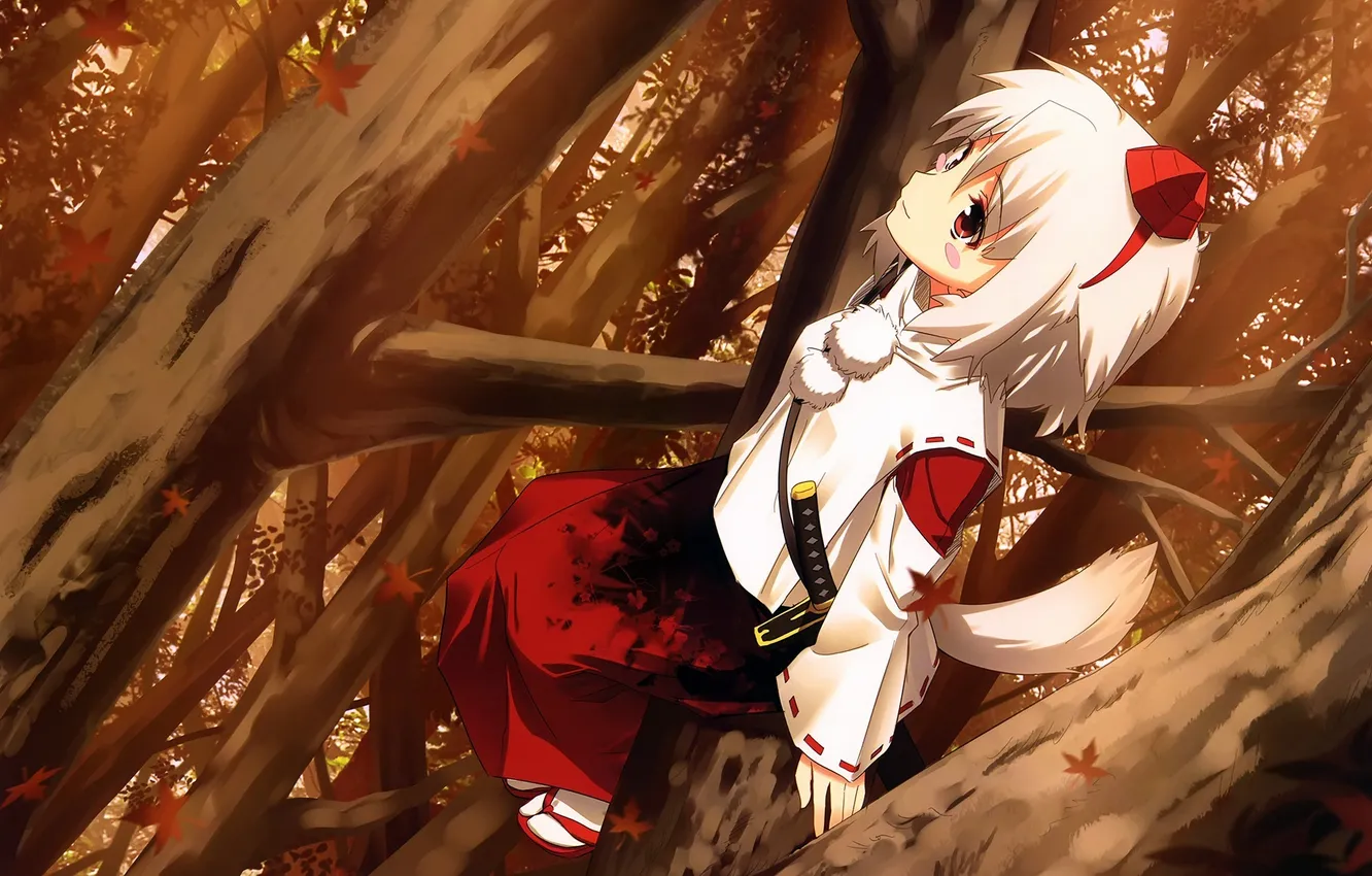 Фото обои девушка, меч, клён, touhou, тенгу