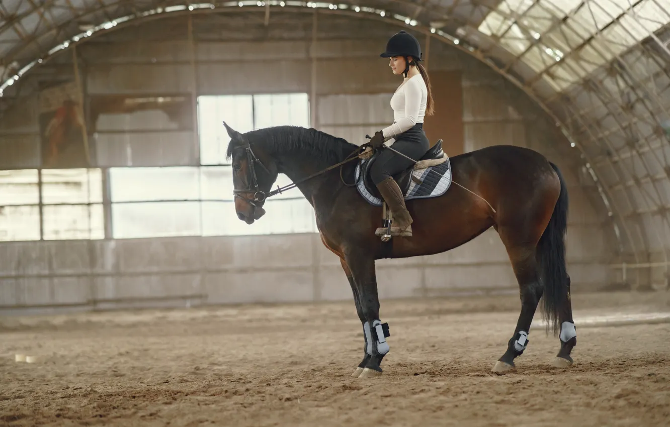 Фото обои девушка, свет, конь, лошадь, блузка, шлем, наездница, седло