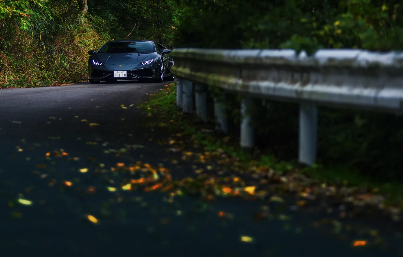 Фото обои дорога, осень, лес, Lamborghini Huracán