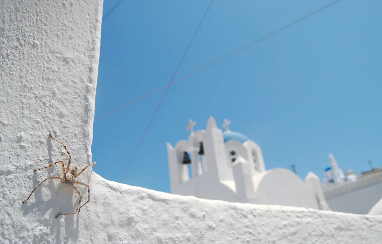 Фото обои белый, небо, синий, паук, церковь