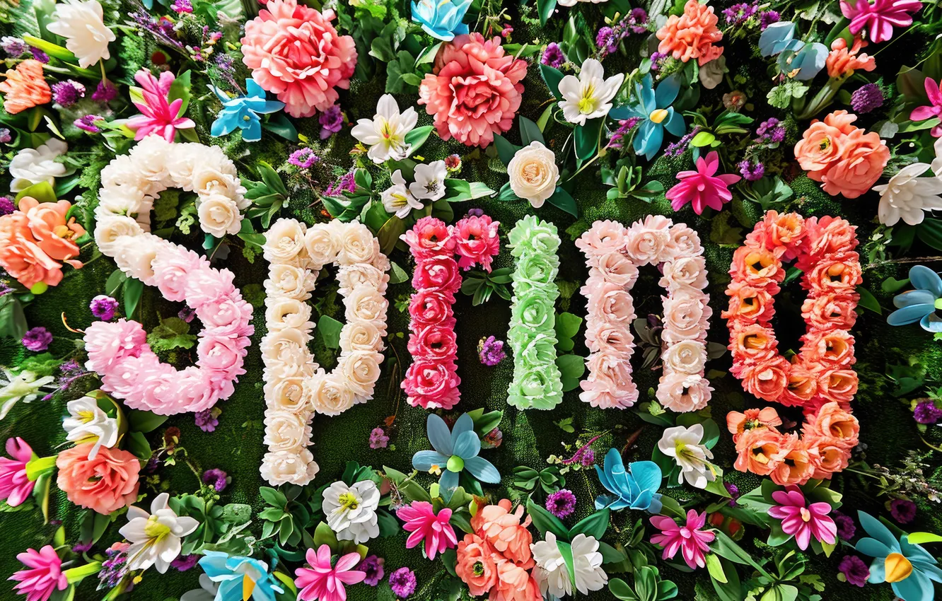 Фото обои цветы, весна, colorful, flowers, spring
