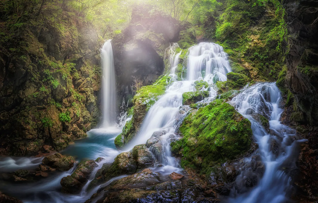 Фото обои лес, водопад, поток
