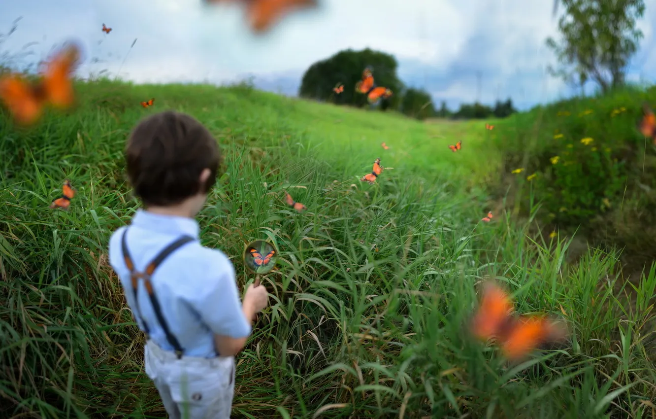 Фото обои бабочки, мальчик, юный натуралист, Austin Tott