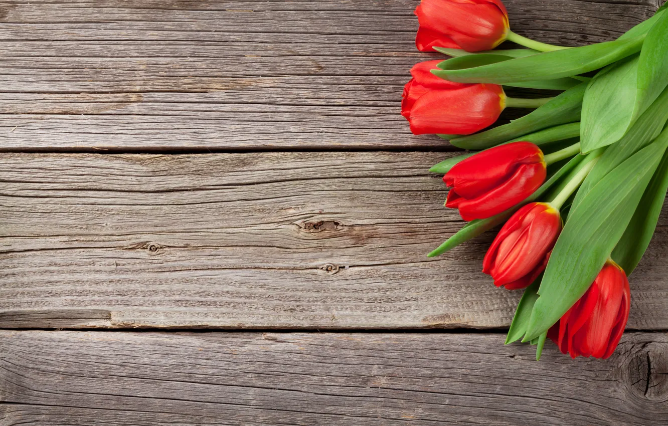 Фото обои цветы, букет, тюльпаны, red, love, wood, flowers, romantic