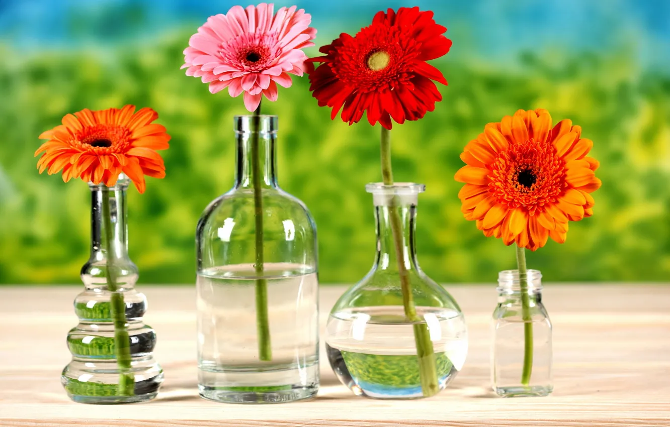 Фото обои вода, цветы, стол, бутылка, хризантемы, яркость, боке, вазы