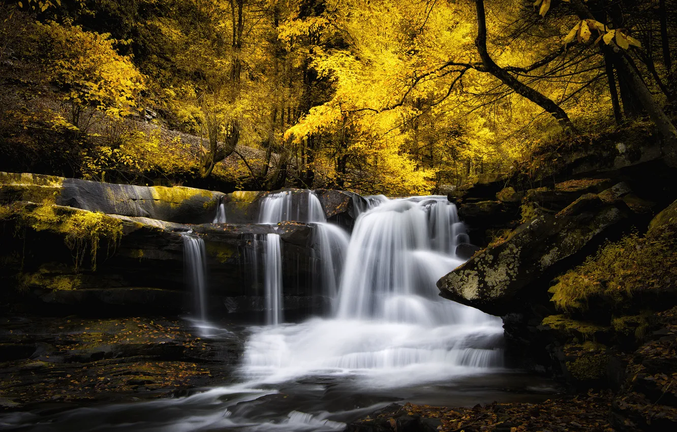 Фото обои осень, листья, деревья, ручей, водопад, рок
