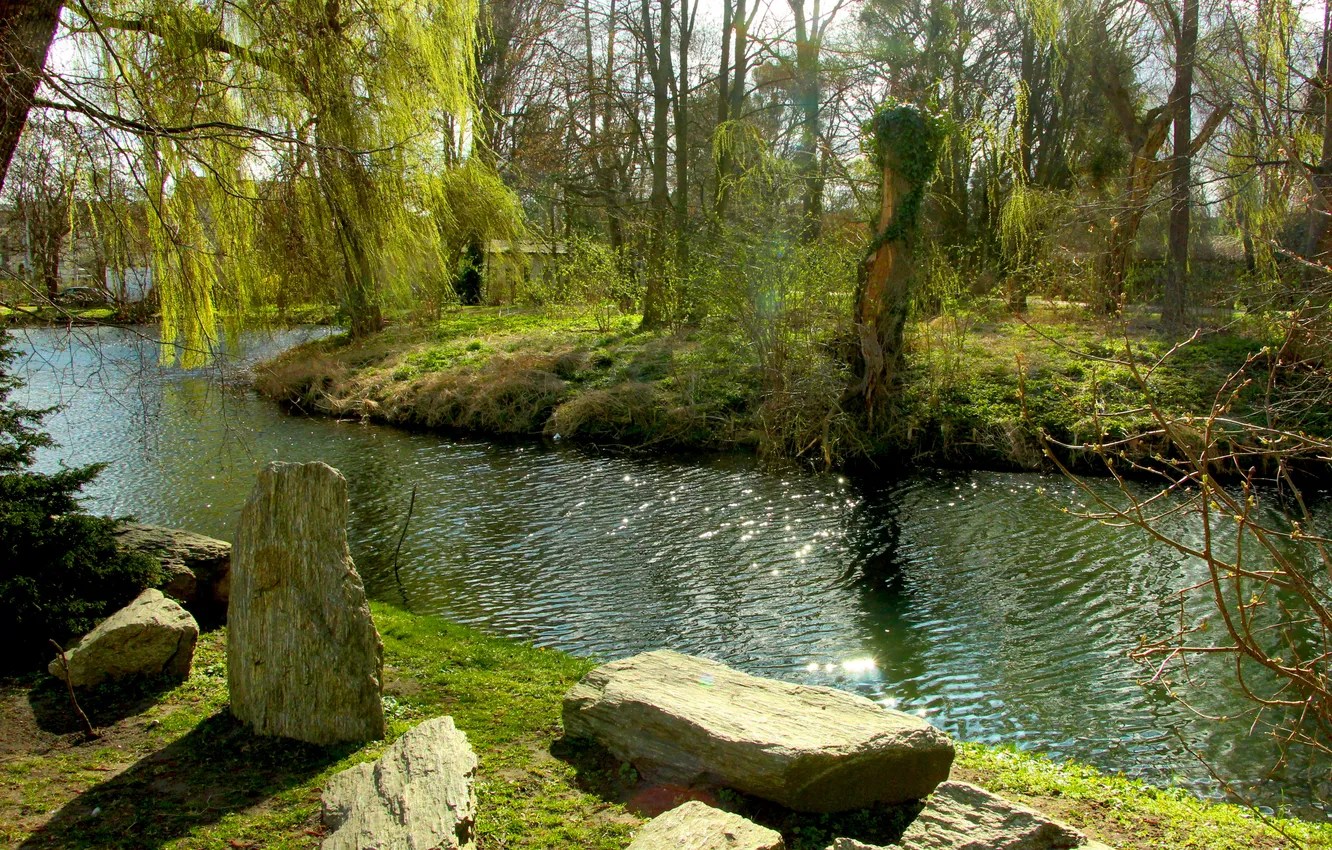 Фото обои green, trees, water, brook, park, plants