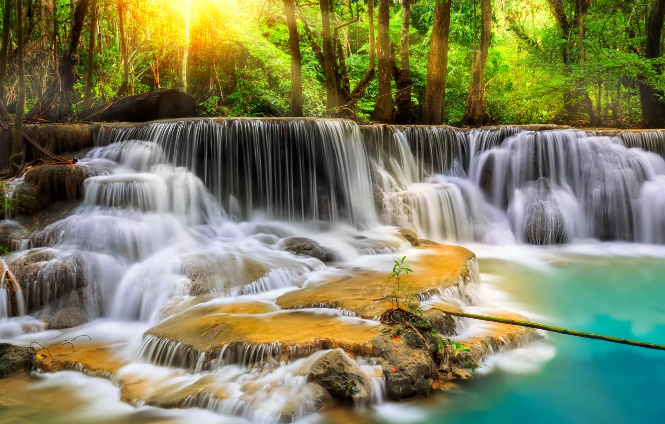 Фото обои лес, деревья, река, камни, водопад, обработка, поток, Thailand
