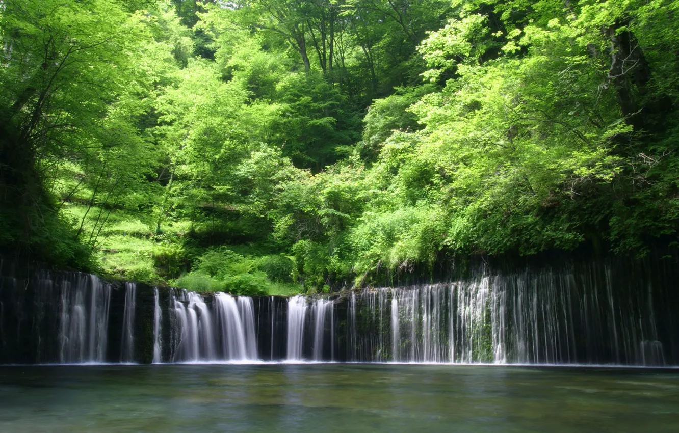 Фото обои лес, вода, Водопад