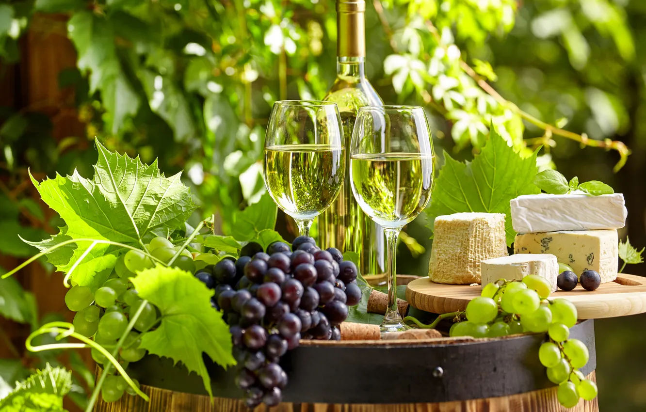 Фото обои зелень, листья, вино, бутылка, сыр, сад, бокалы, виноград