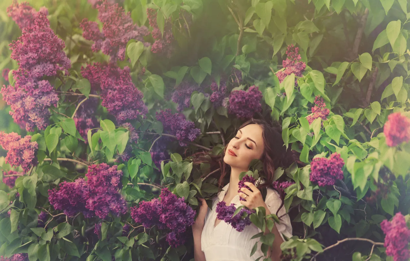 Фото обои листья, девушка, цветы, природа, наслаждение, весна, цветет, сирень