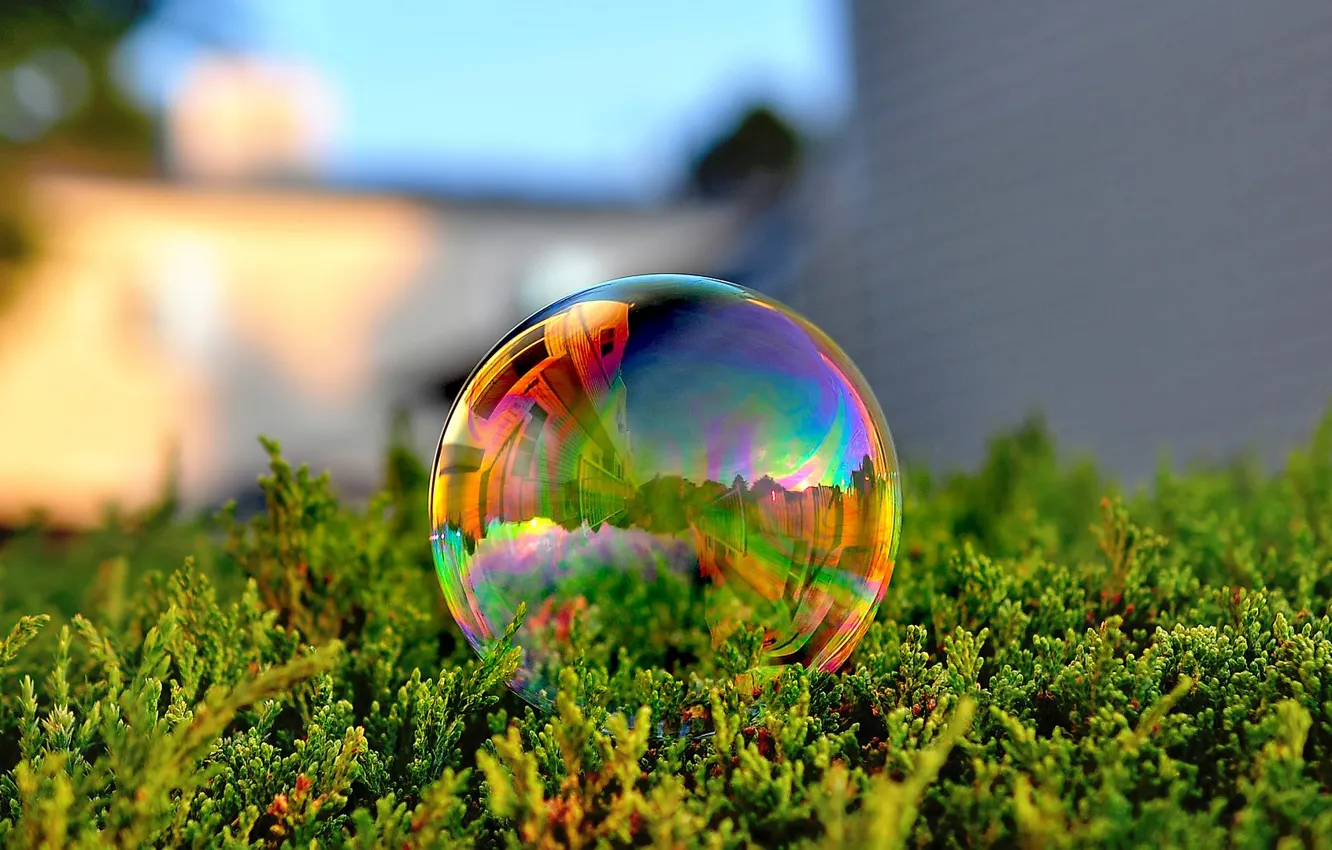 Фото обои green, grass, photo, macro, color, reflection, Bubble, soap bubble