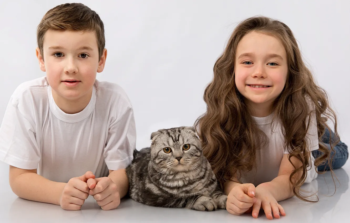 Фото обои кот, дети, мальчик, девочка
