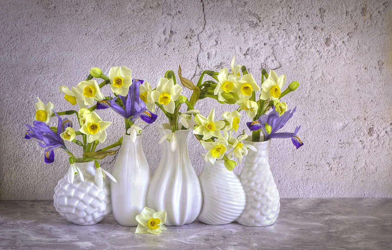 Фото обои цветы, весна, подснежники, ирисы, нарциссы, вазочки, Jacky Parker