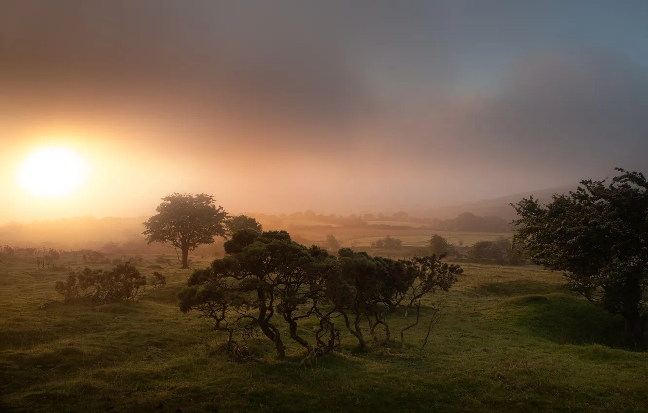 Фото обои туман, восход, Англия, Корнуолл