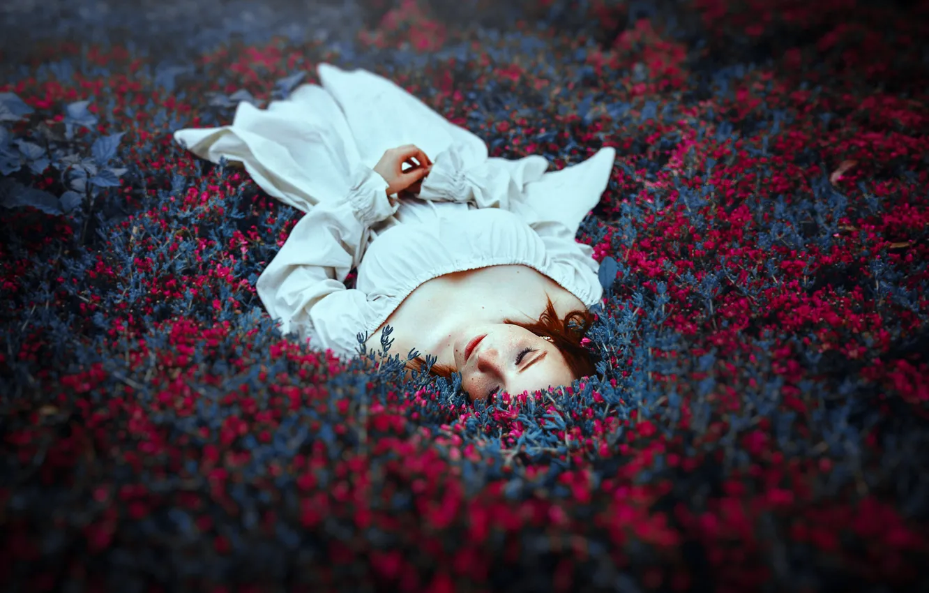 Фото обои девушка, цветы, природа, лежит