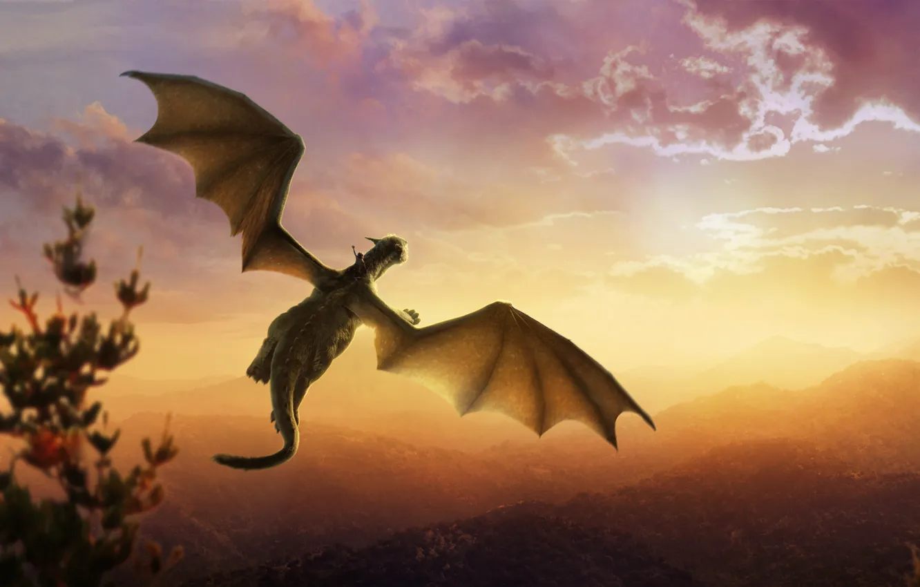 Фото обои Fantasy, Nature, Clouds, Sky, Dragon, Green, Sunset, and