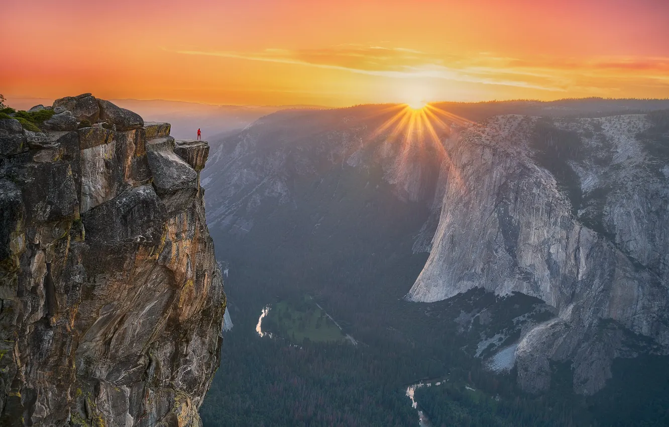 Фото обои лес, небо, солнце, лучи, свет, закат, горы, туман