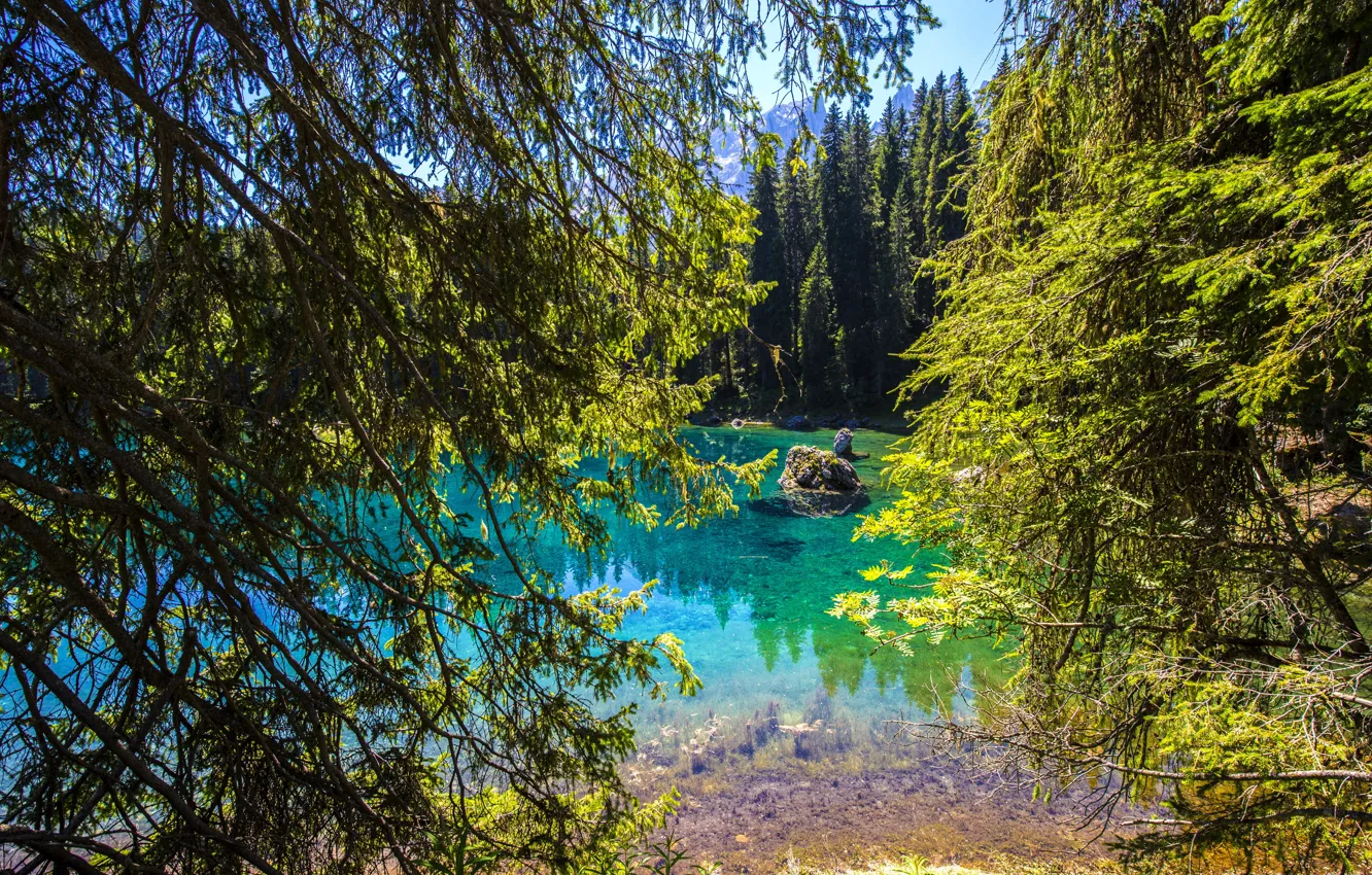 Фото обои лес, деревья, горы, ветки, озеро, камни, Италия, Lake Carezza