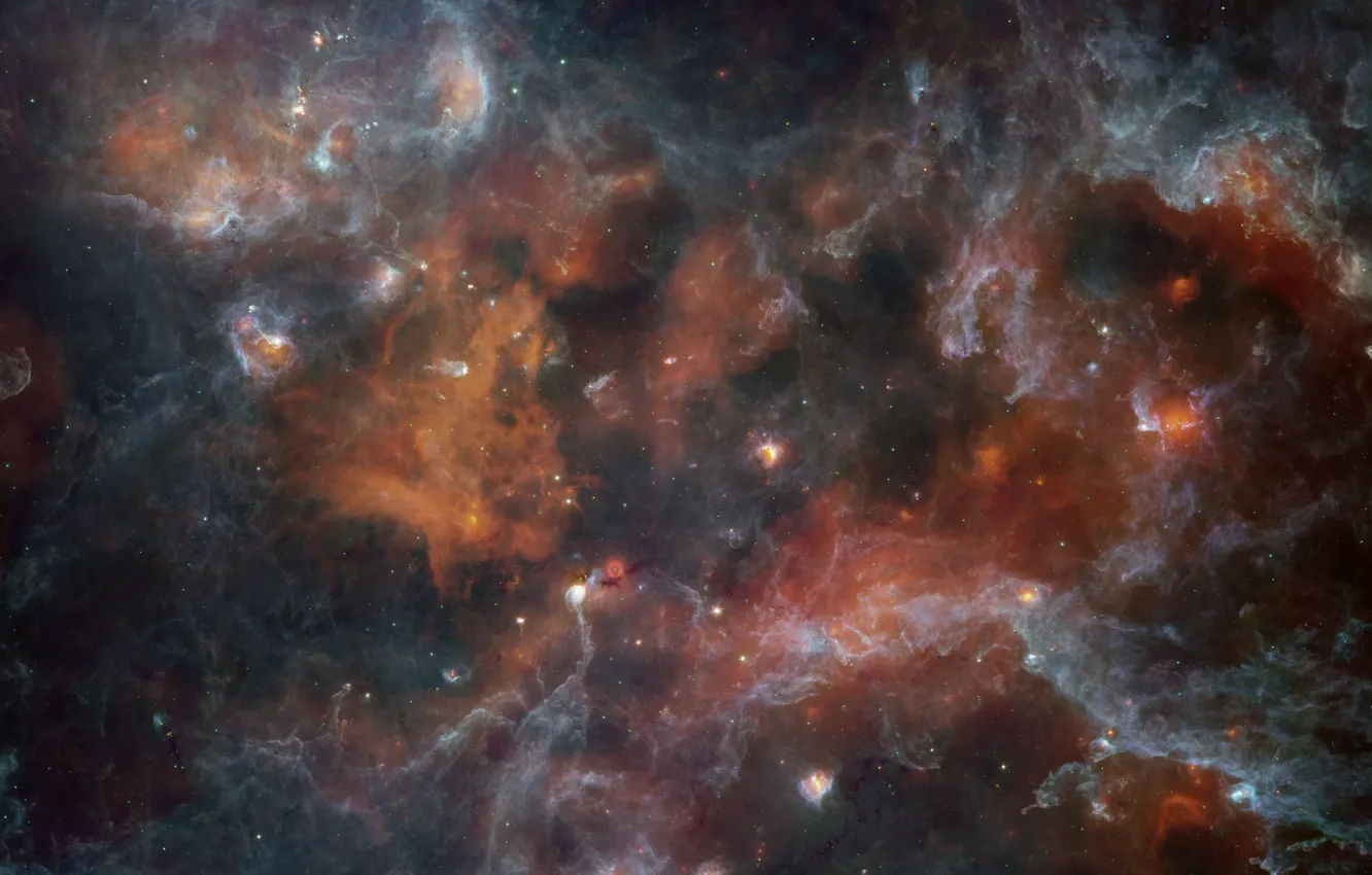 Фото обои облако, гигантское, расположенная, в созвездии, молекулярное, Лебедя, Лебедь X