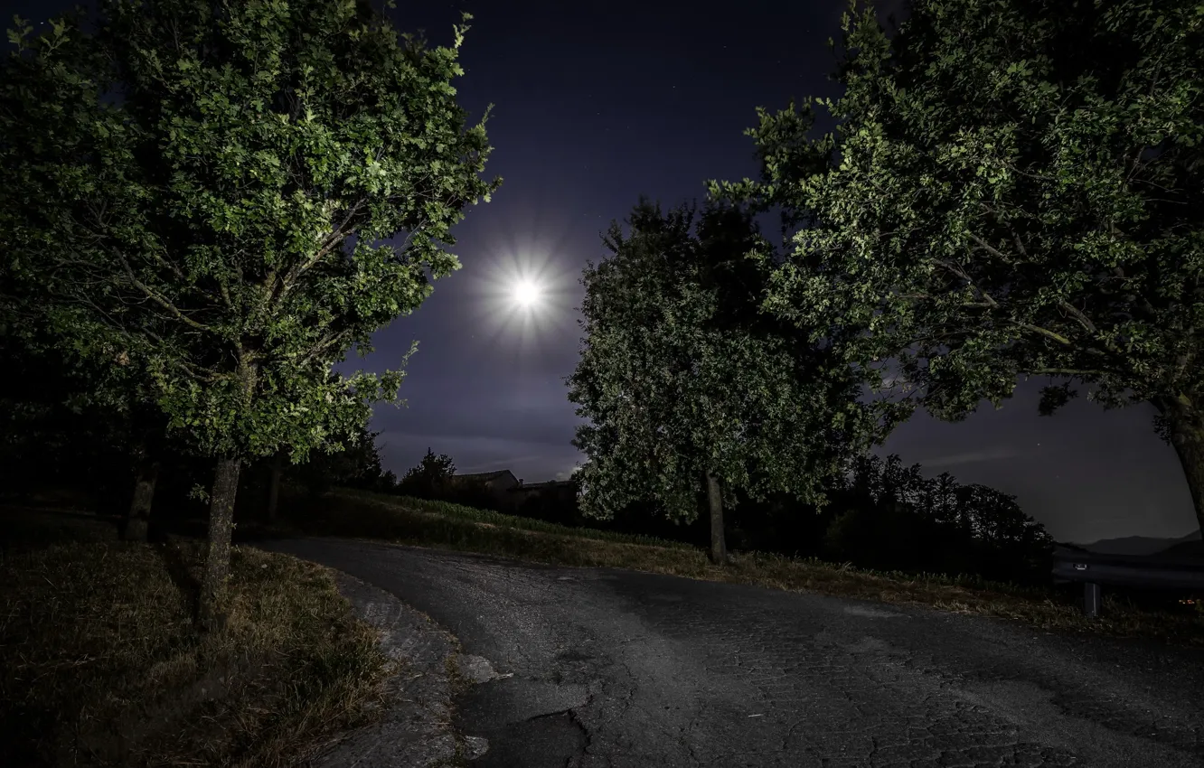 Фото обои дорога, ночь, природа