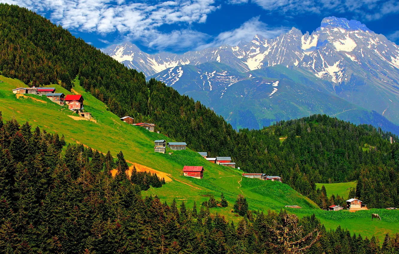 Фото обои Turkey, Çamlıhemşin, Rize, pokut yaylası