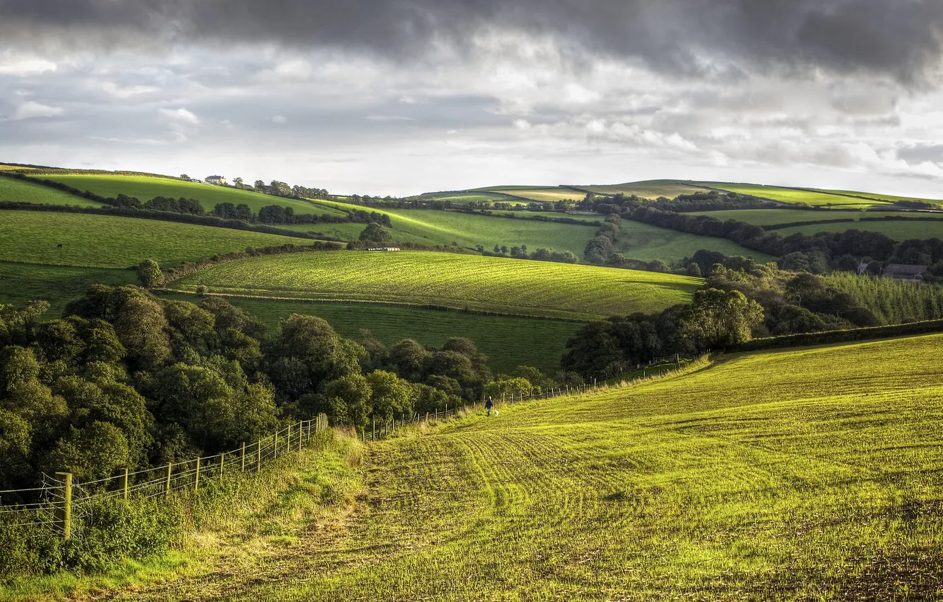 Фото обои деревья, холмы, поля, Англия, Корнуолл, деревенский пейзаж