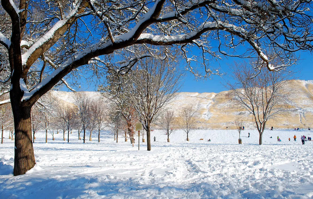 Фото обои зима, небо, снег, деревья, горы, люди