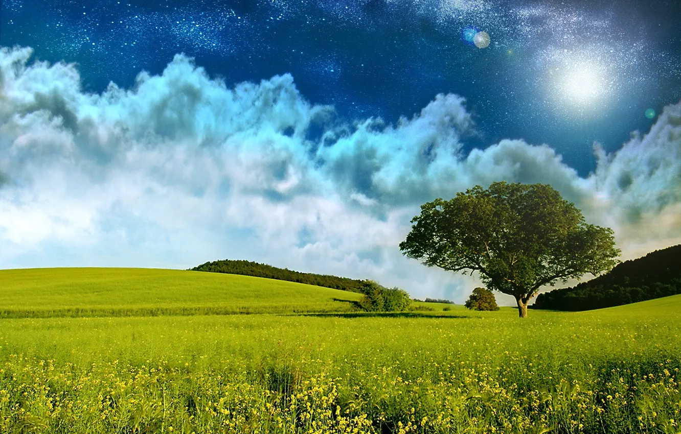 Фото обои поле, звезды, облака, Дерево