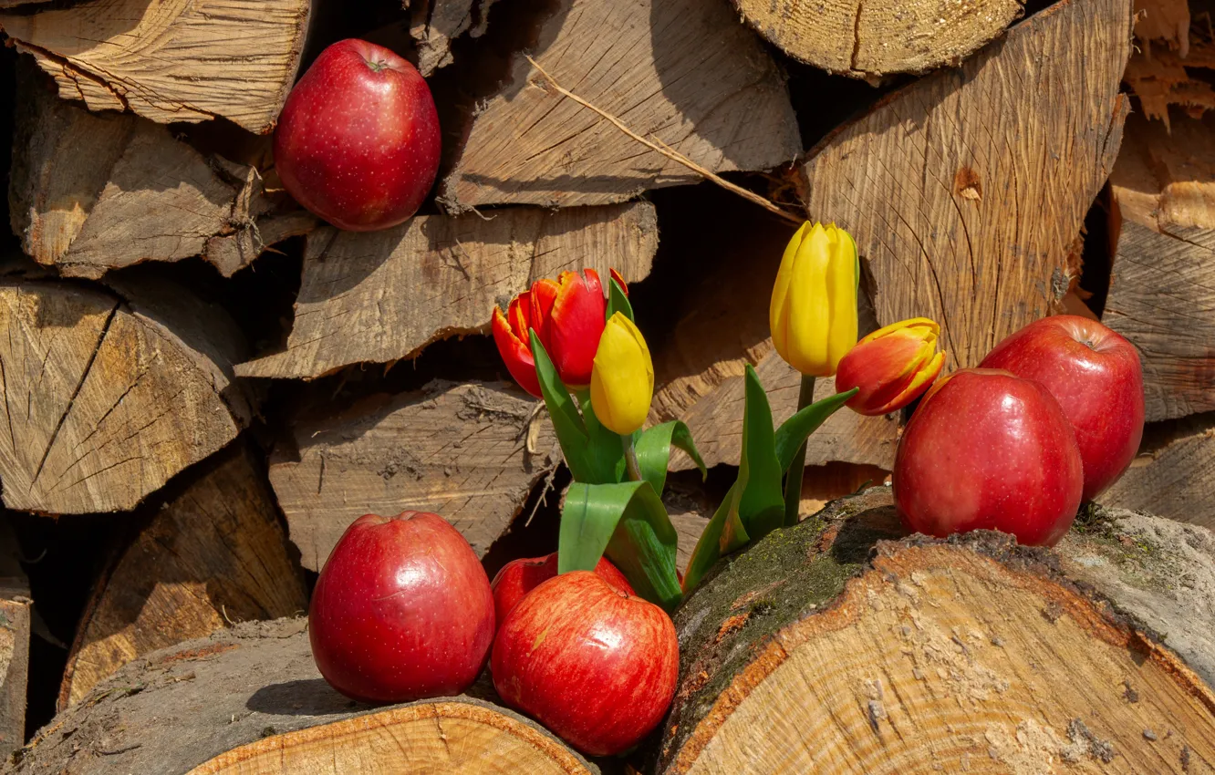 Фото обои цветы, яблоки, желтые, тюльпаны, красные, дрова, фрукты