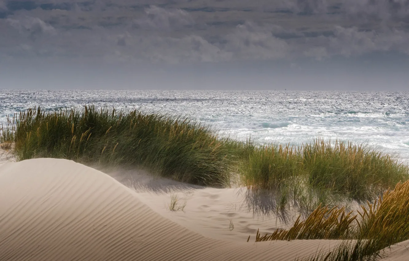 Фото обои песок, море, пляж, ветер, растительность, дюны