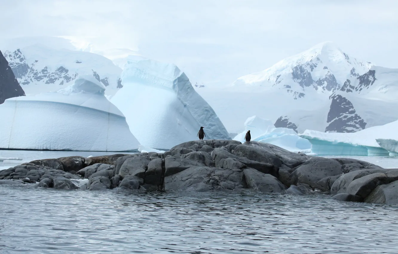 Фото обои лед, зима, вода, снег, горы, природа, камни, скалы