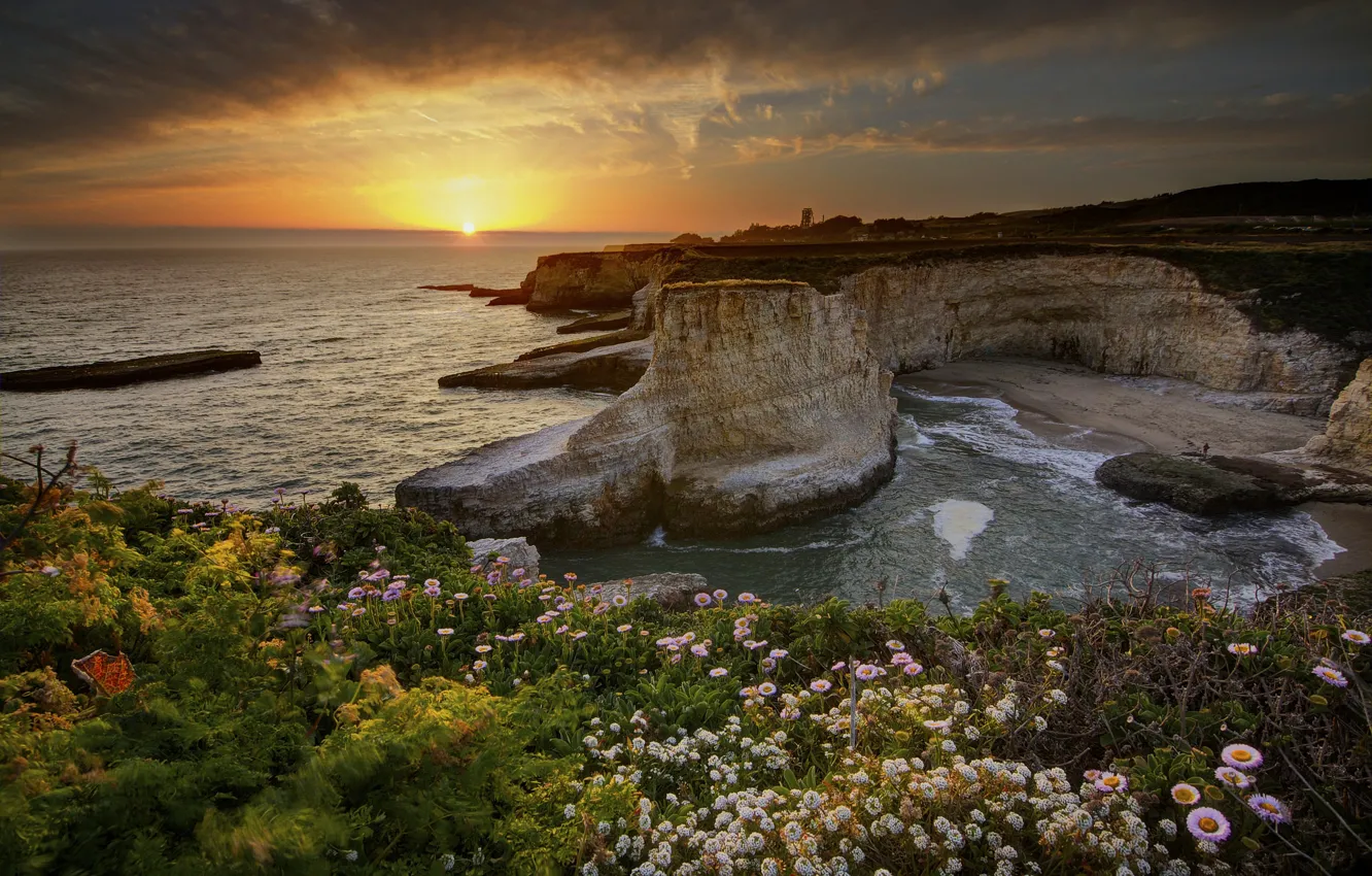 Фото обои цветы, океан, Скалы, Калифорния, США