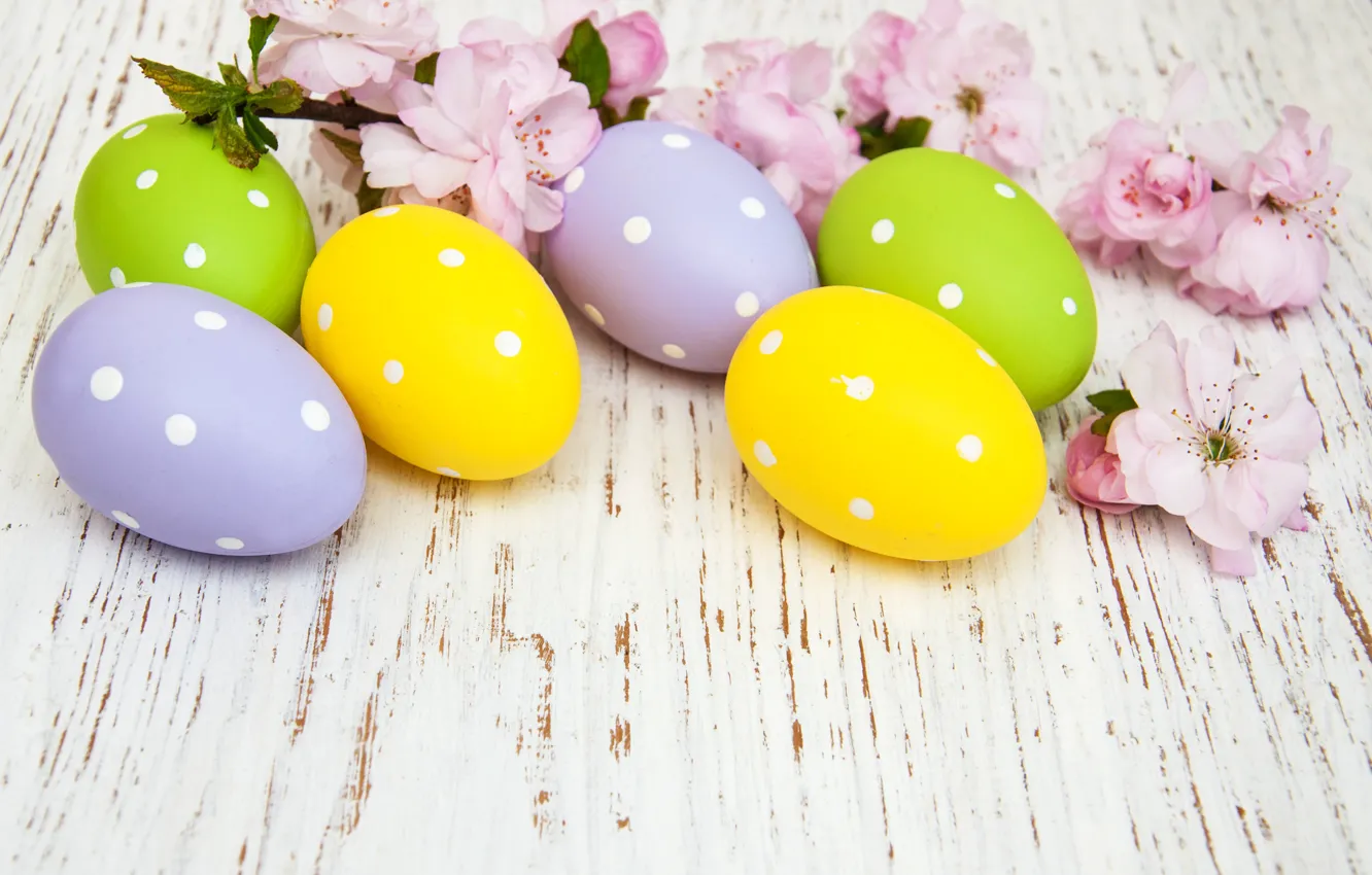 Фото обои цветы, яйца, colorful, Пасха, happy, wood, blossom, flowers