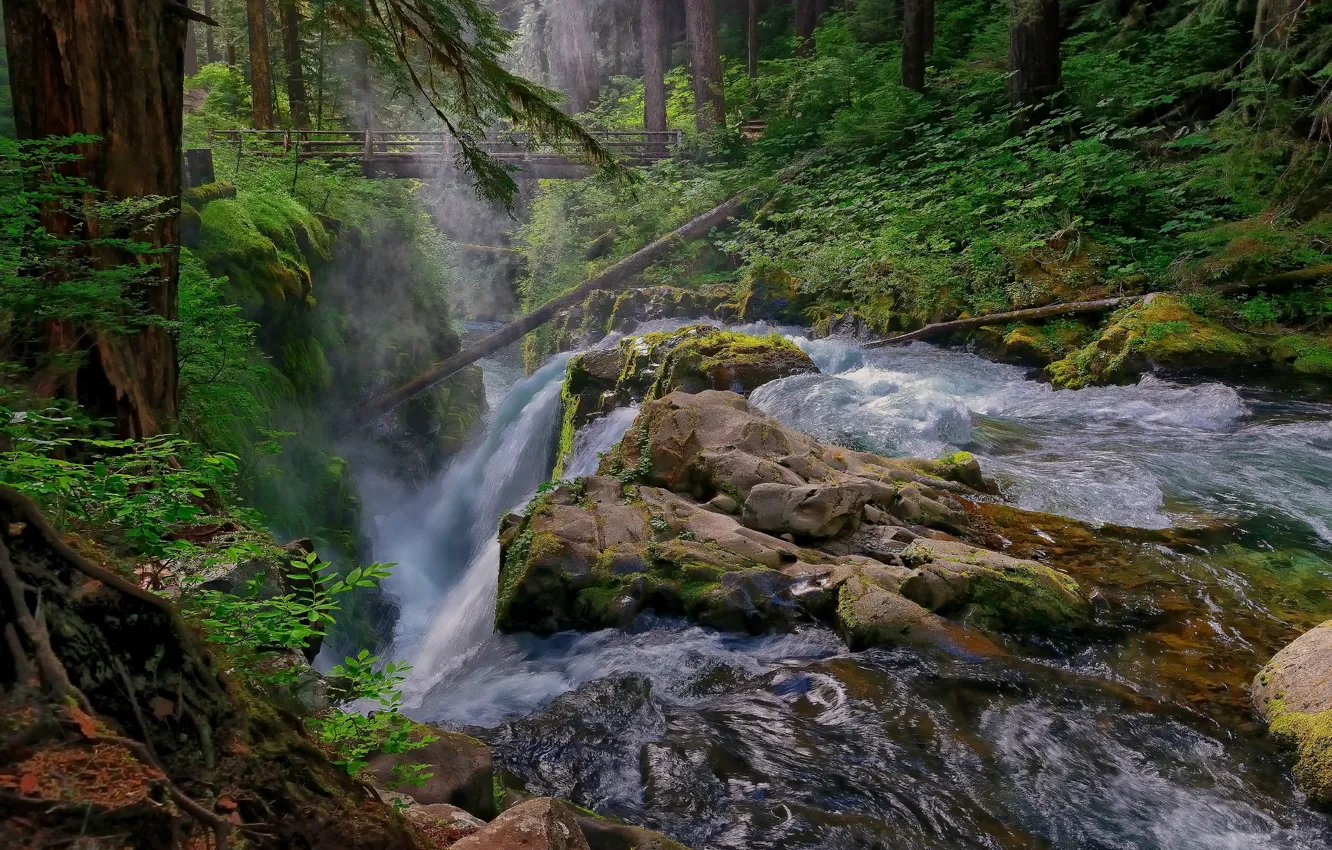 Фото обои лес, мост, река, камни, водопад, поток