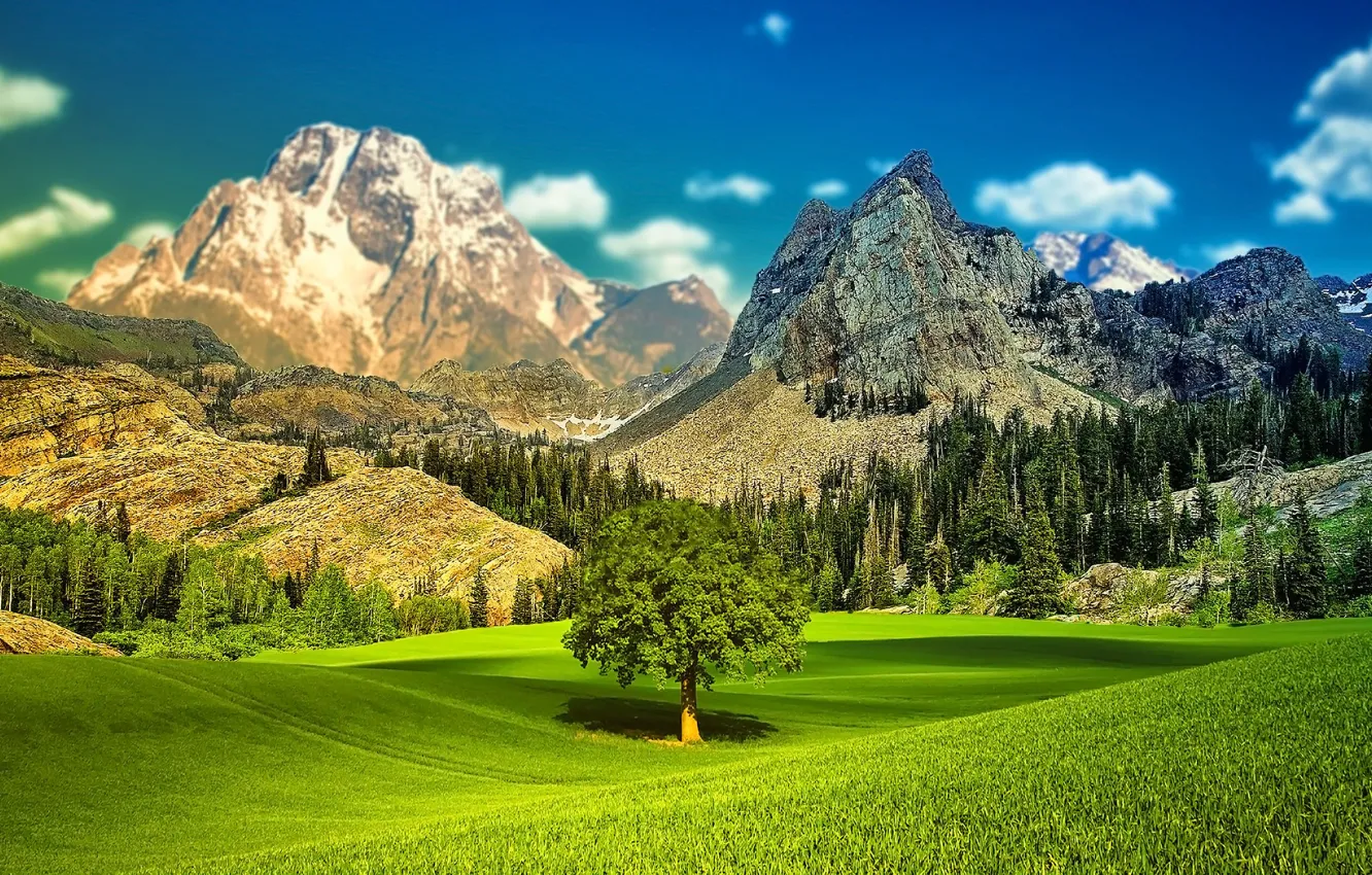 Фото обои небо, трава, деревья, пейзаж, горы, долина