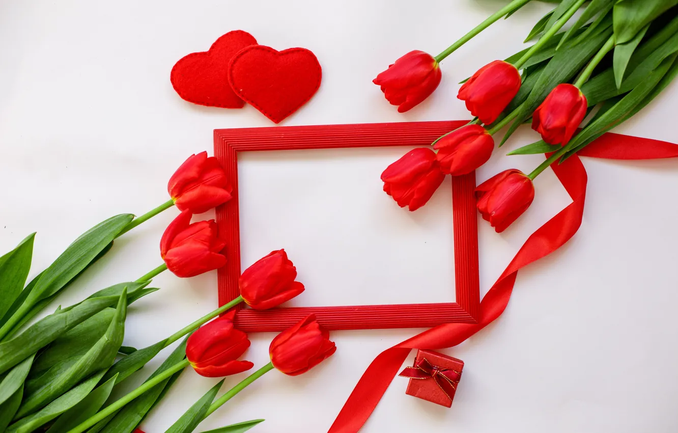 Фото обои белый, фон, подарок, рамка, тюльпаны, красные